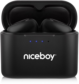niceboy-hive-podsie-2021