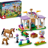 lego friends darcek pre deti